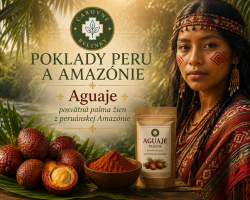 Aguaje – posvätná palma žien z peruánskej Amazónie