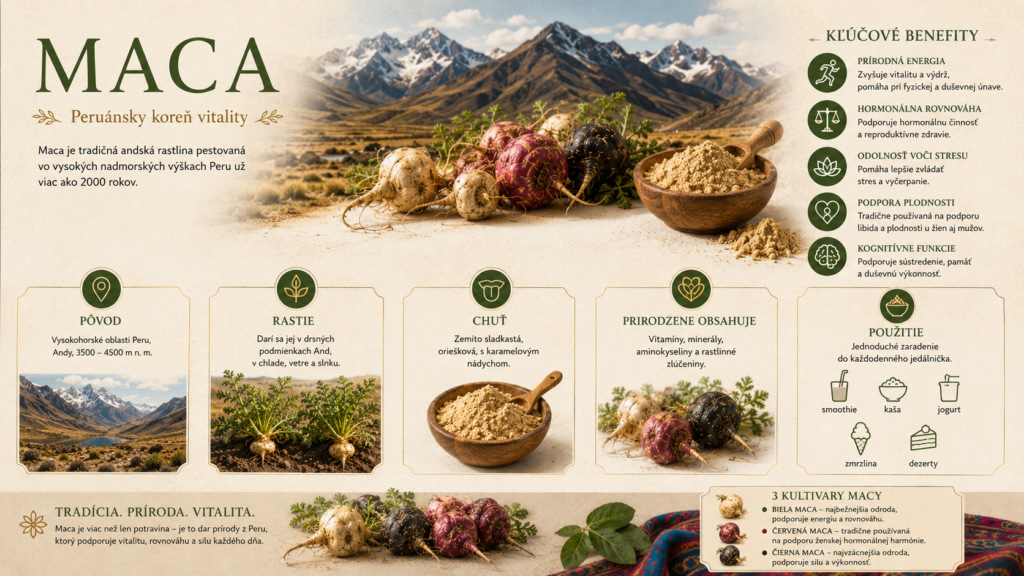 Maca infografika
