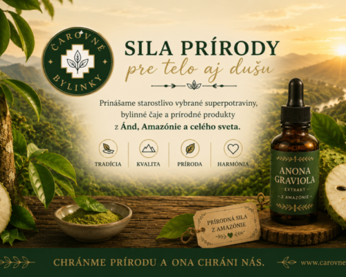 Anona Graviola – dar amazonského pralesa s bohatou tradíciou